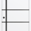 Fenstermaxx24 – ac68 WE 12 blackline